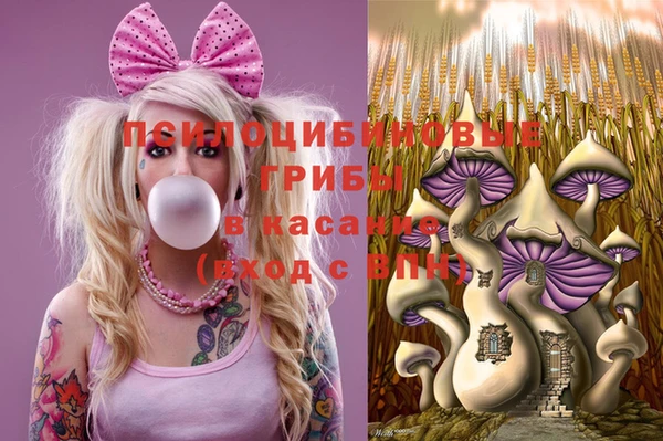 МДПВ Аркадак