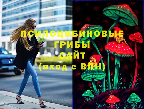 МДПВ Аркадак