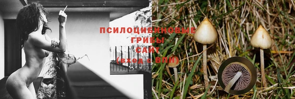 бошки Семилуки
