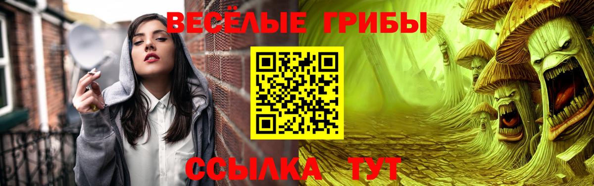 Псилоцибиновые грибы Cubensis  Галлюциногенные грибы MAGIC MUSHROOMS  купить   Чапаевск  Вход с VPN 